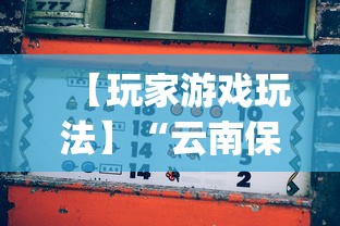 【玩家游戏玩法】“云南保山麻将怎么打才能赢”(透视挂)辅助透视教程