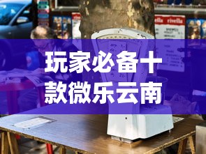 玩家必备十款微乐云南麻将为什么一直输”(详细开挂教程)