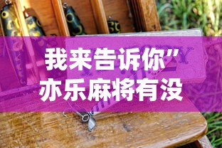 我来告诉你	”亦乐麻将有没有挂”详细分享装挂步骤