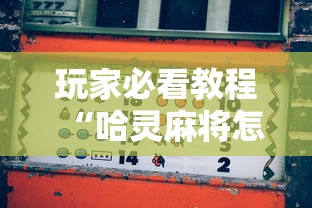玩家必看教程“哈灵麻将怎么能赢”通用版下载教程