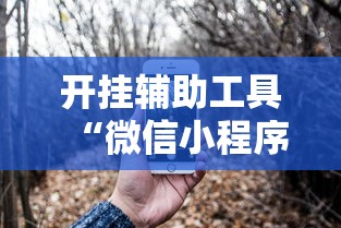 开挂辅助工具“微信小程序功夫川麻一直输”开挂辅助脚本+详细开挂
