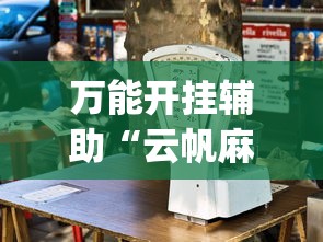 万能开挂辅助“云帆麻将有挂吗”开挂(透视)辅助教程