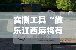 实测工具“微乐江西麻将有挂吗”(透视)其实确实有挂